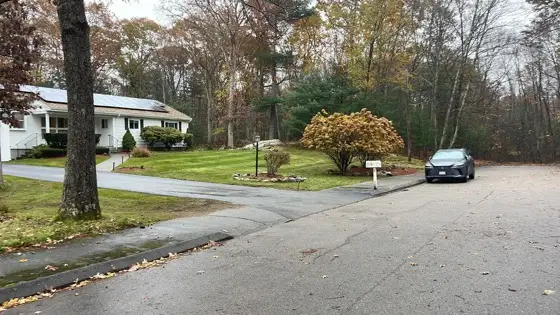 Clean driveway and lawn after fall cleanup
