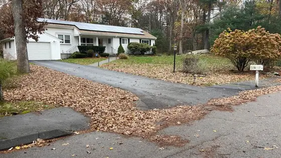 Driveway covered in leaves before fall cleanup