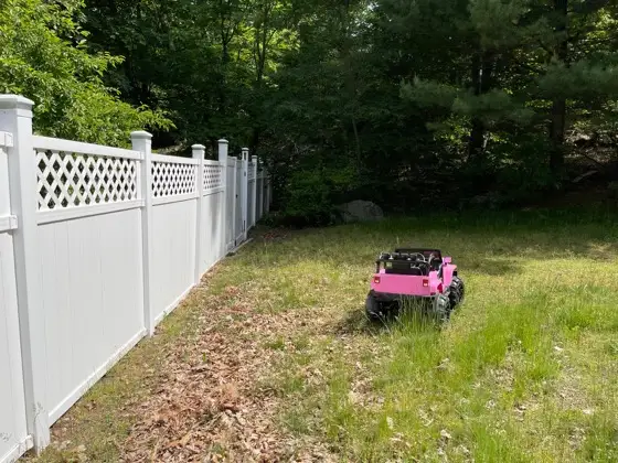 Yard before the fence and hydroseed project
