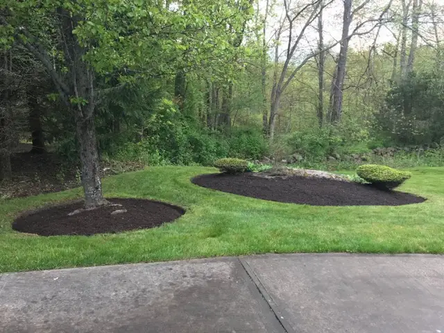 Mulched beds around a tree