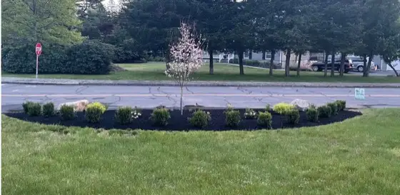 Front yard with new defined planting bed